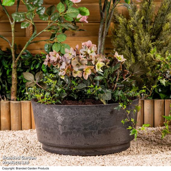 Garden Gear - Caesar Marble Effect Charcoal Bowl Planters