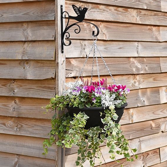 Garden Gear - King Swallow Garden Bracket