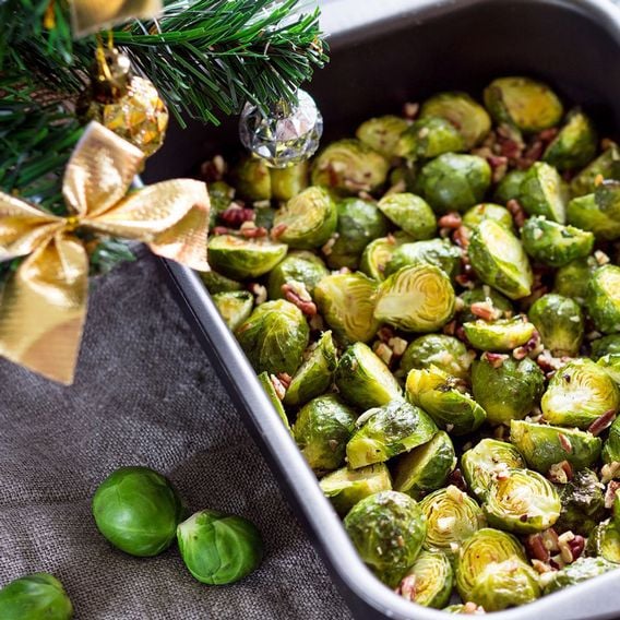 Brussels Sprout 'Brodick' F1 - Seeds