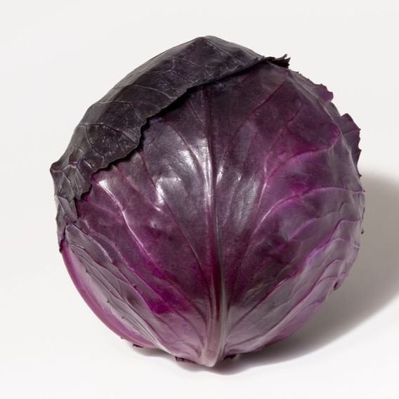 Cabbage 'Pretino' F1 - Seeds