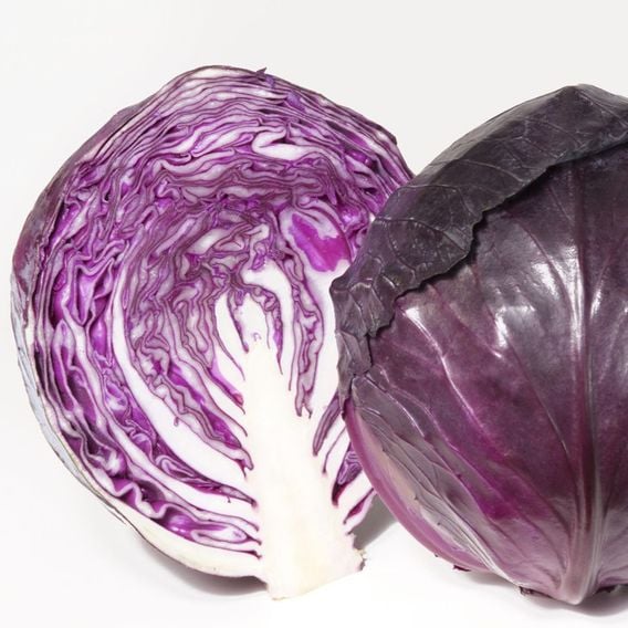 Cabbage 'Pretino' F1 - Seeds