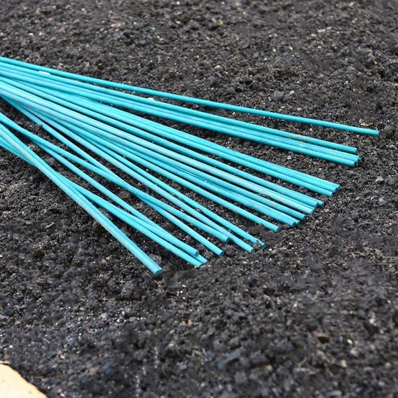 Garden Gear - Plant Canes
