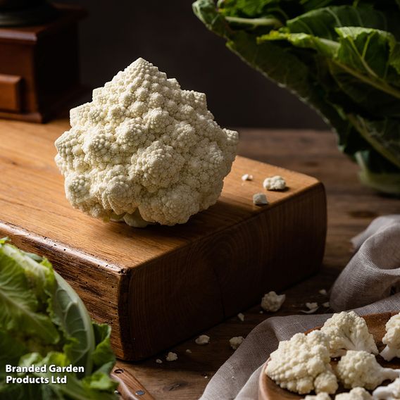 Cauliflower 'Cartesio' F1 - Seeds