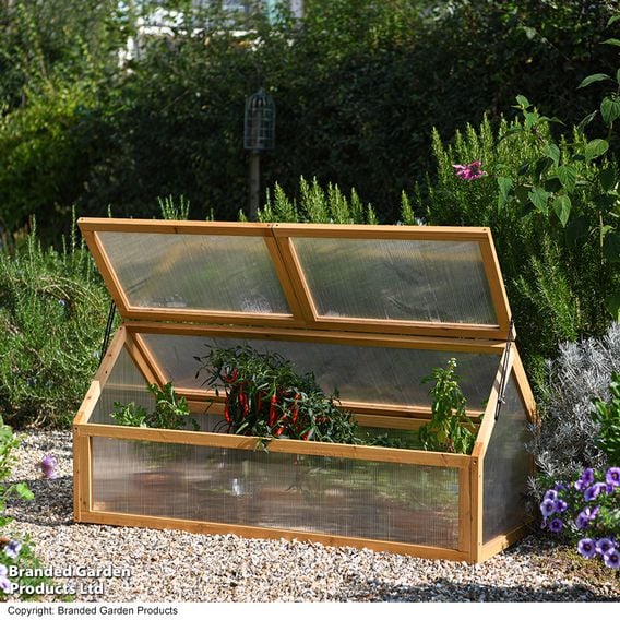 Garden Gear - XL Wooden Cold Frame