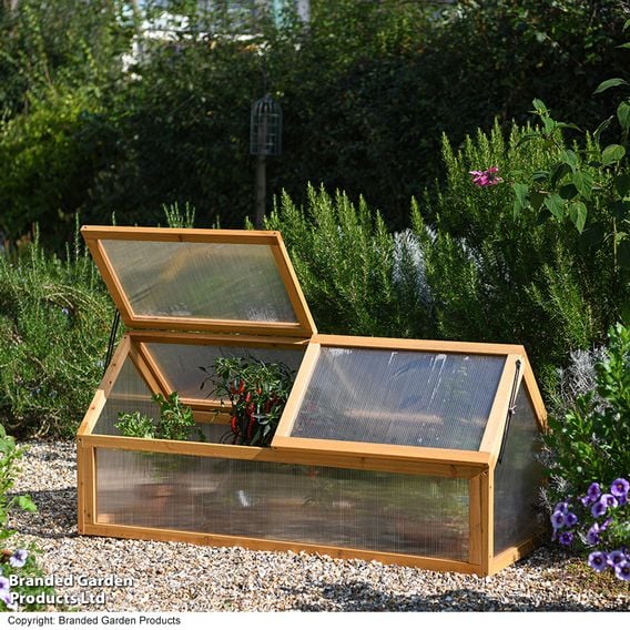 Garden Gear - XL Wooden Cold Frame