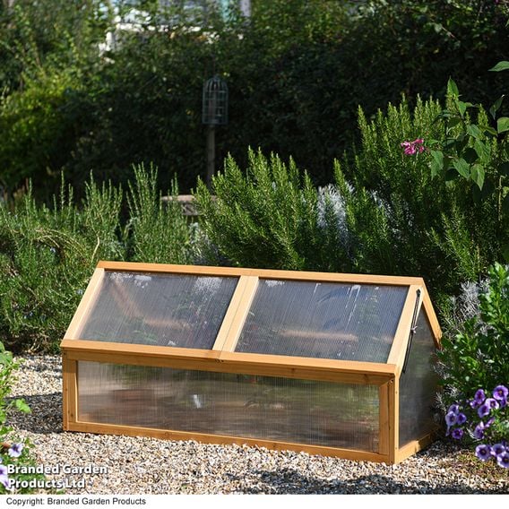 Garden Gear - XL Wooden Cold Frame