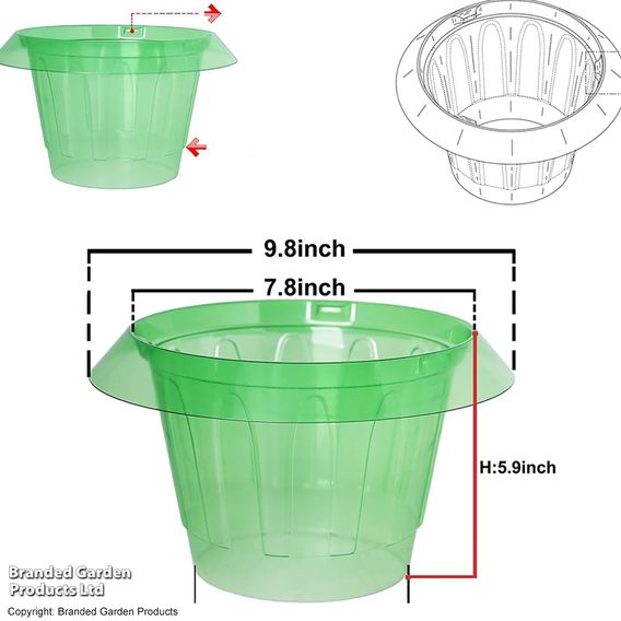 Garden Gear - Snail Collar