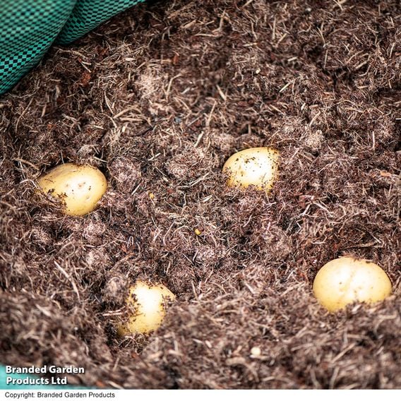 INCREDiPeatFree Premium Potato Compost
