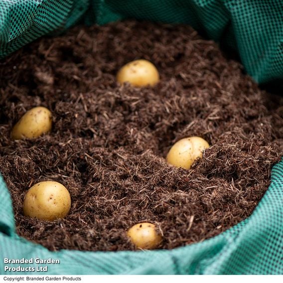 INCREDiPeatFree Premium Potato Compost
