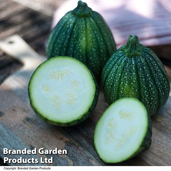 Courgette 'Boldenice' F1 - Seeds