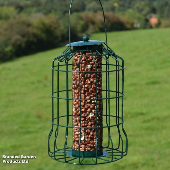 Caged Peanut Feeder