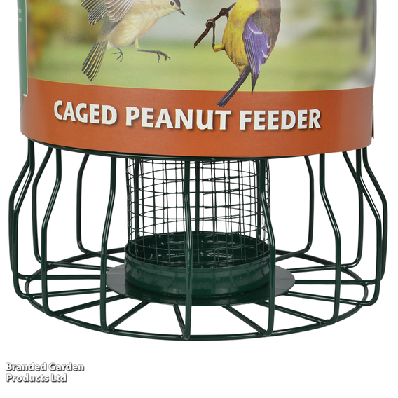 Caged Peanut Feeder