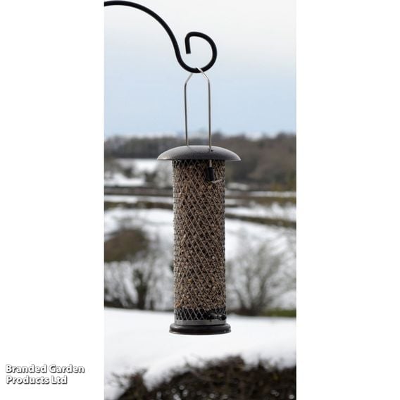 Premium Sunflower Heart Feeder