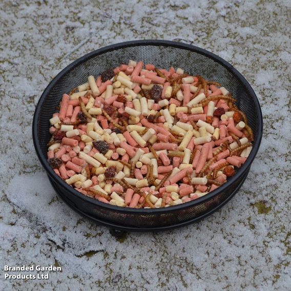 Ground Feeder Table