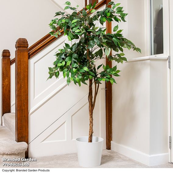 Artificial Large Ficus Tree 