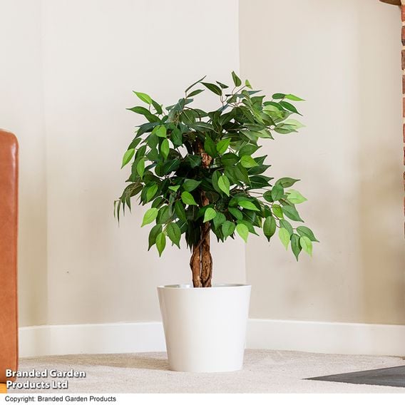 Artificial Ficus Tree 