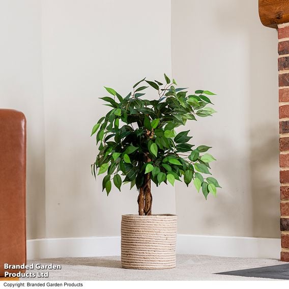 Artificial Ficus Tree 