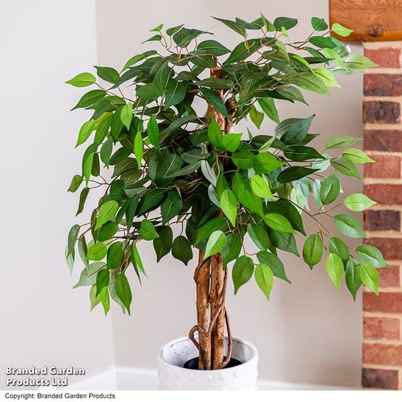Artificial Ficus Tree 