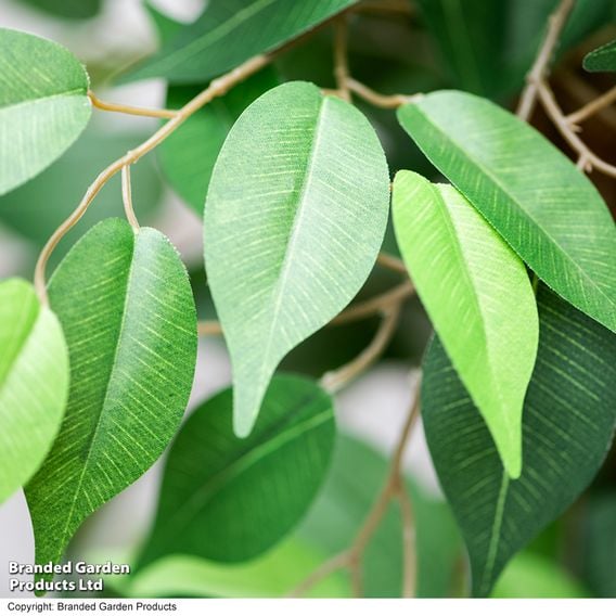 Artificial Ficus Tree 