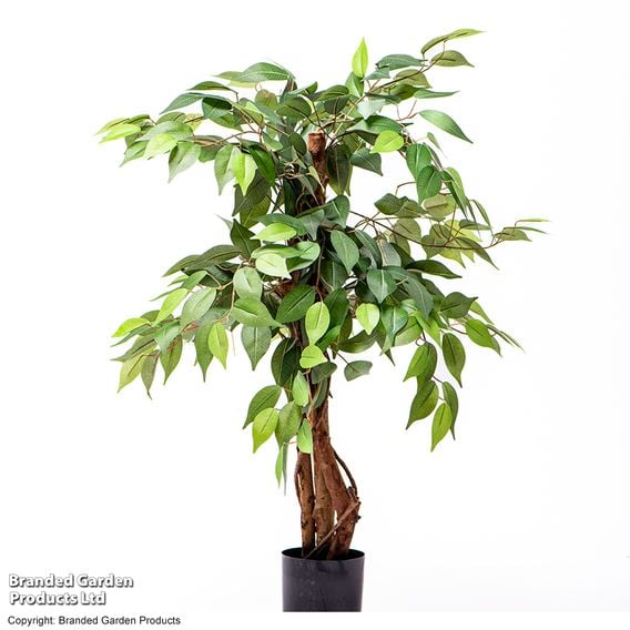 Artificial Ficus Tree 