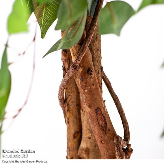 Artificial Ficus Tree 
