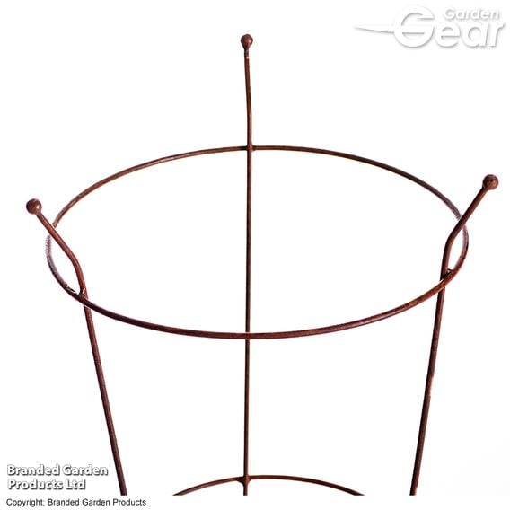 Garden Gear - Rust Effect Peony Plant Frame