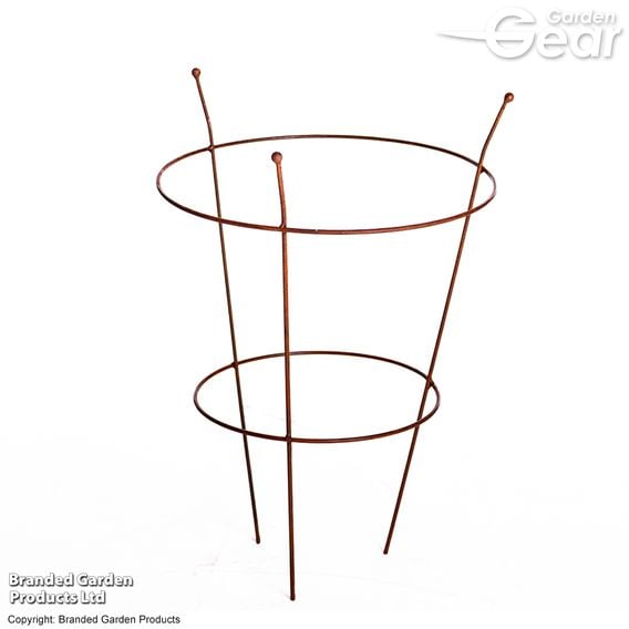 Garden Gear - Rust Effect Peony Plant Frame