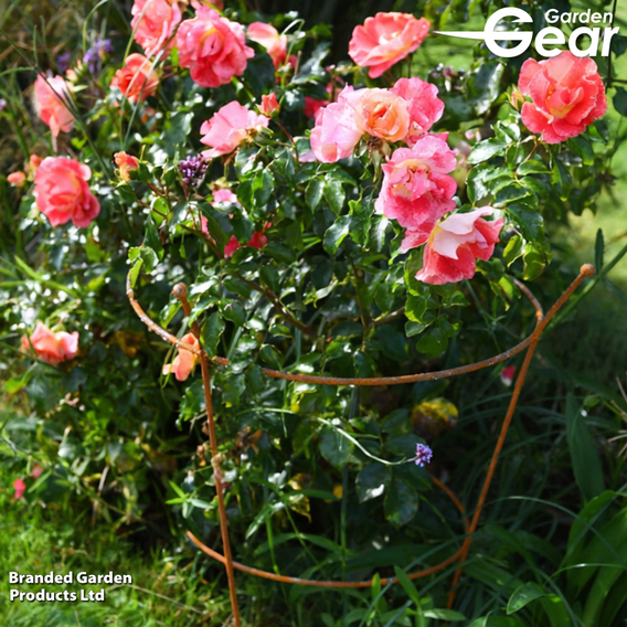 Garden Gear - Rust Effect Peony Plant Frame