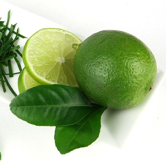 Lime (Citrus Fruit)