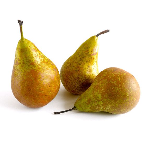 Pear 'Mini Conference'