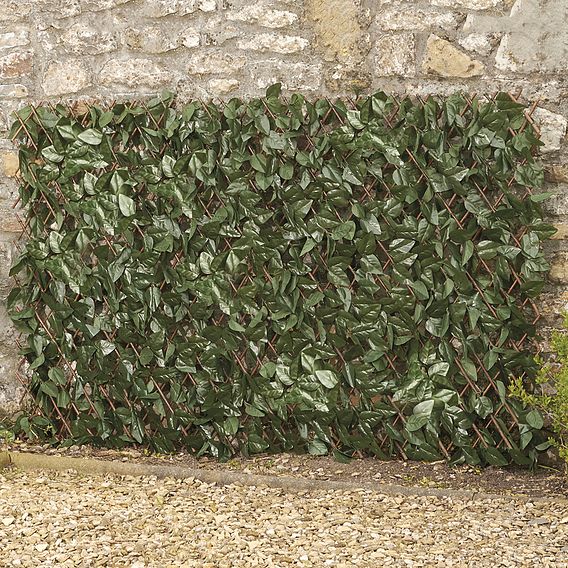 Expandable Artificial Ivy Hedge Trellis