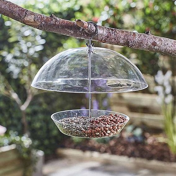 Squirrel Proof Domed Bird Feeder | Dobies