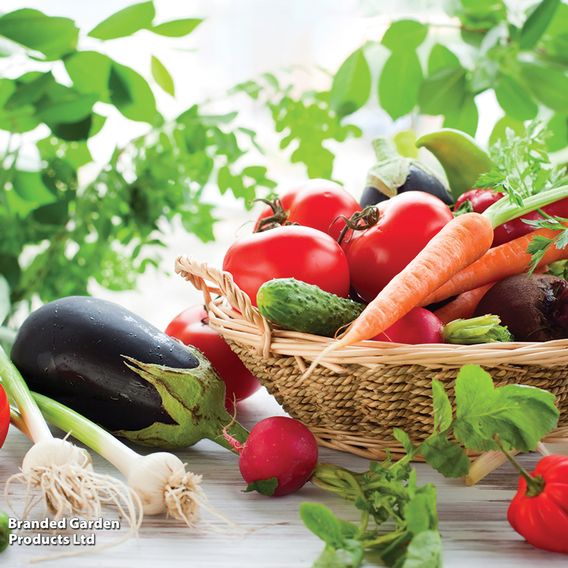 Nurseryman's Choice Vegetables for Small Spaces