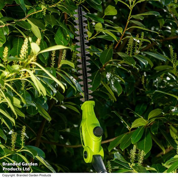 Garden Gear - 12V Telescopic Hedge Trimmer
