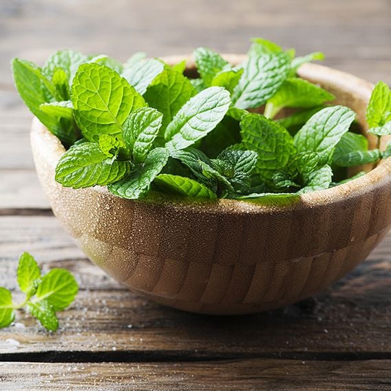 Mint