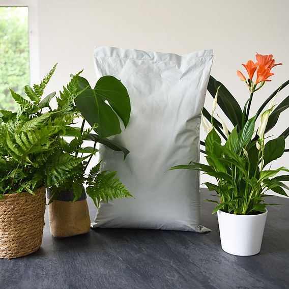 Incredicompost Peat Free Houseplant