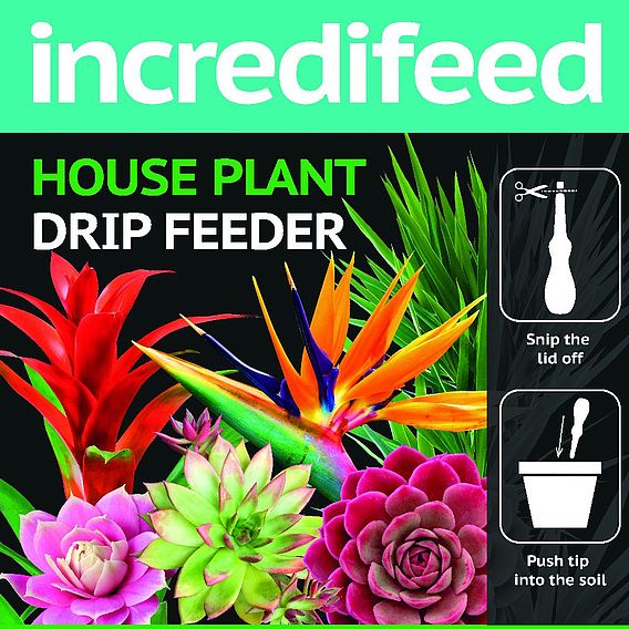 IncrediFeed House Plant Drip Feeder