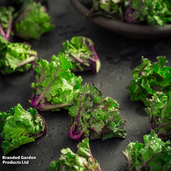 Kalettes®