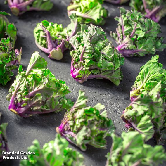 Kalettes®