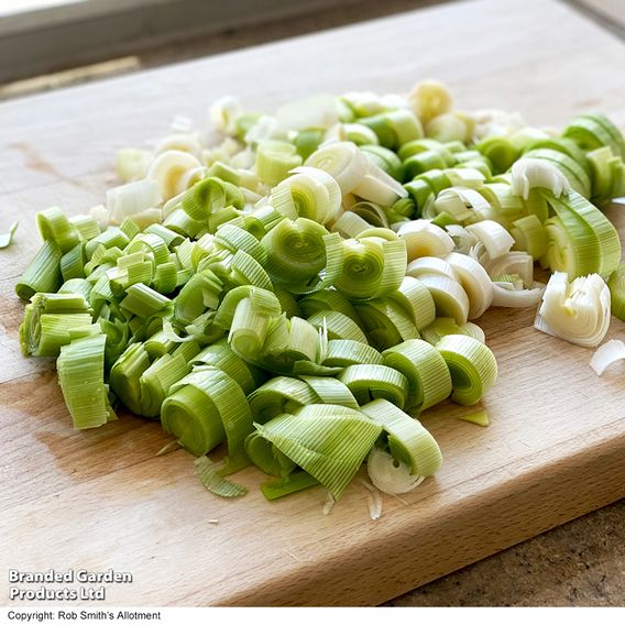 Leek 'Lyon Prizetaker' - Seeds