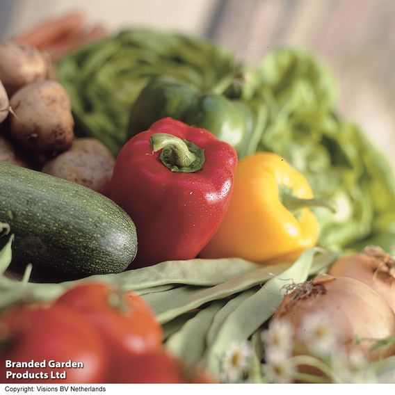 Nurseryman's Choice Vegetables for Small Spaces