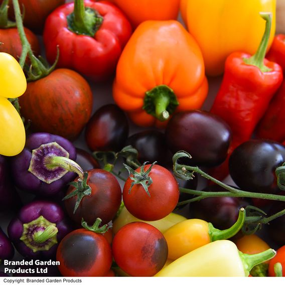 Nurseryman's Choice Vegetables for Small Spaces