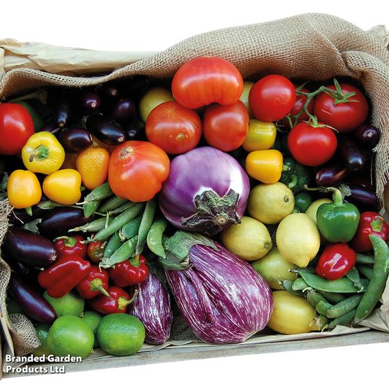 Nurseryman's Choice Vegetables for Small Spaces