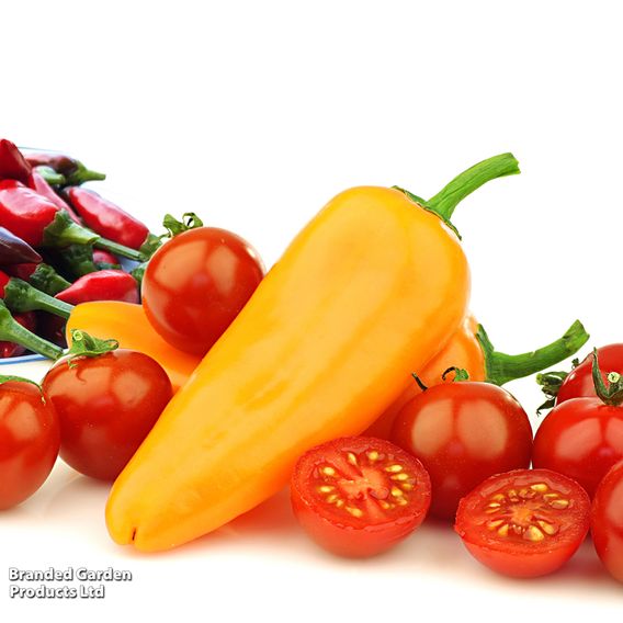 Nurseryman's Choice Vegetables for Small Spaces