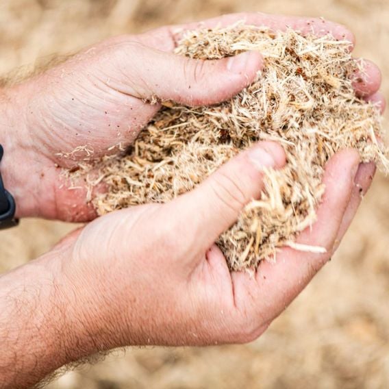 INCREDi Mulch Plus®