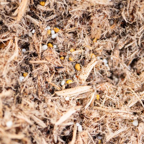 INCREDi Mulch Plus®