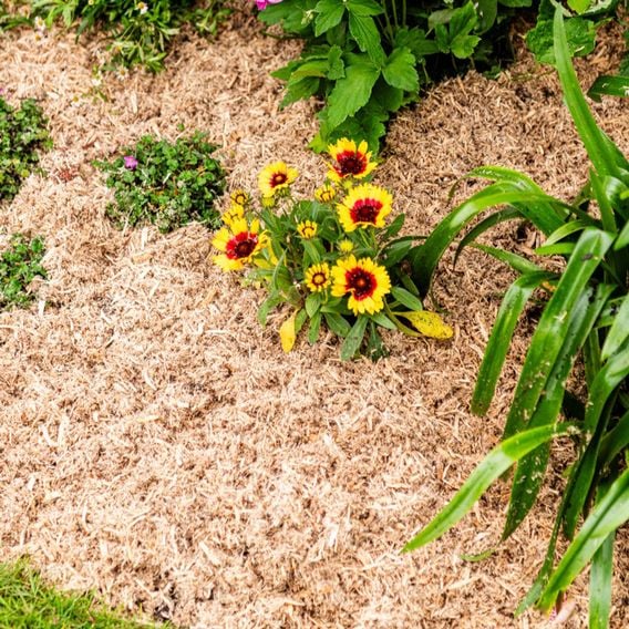 INCREDi Mulch Plus®