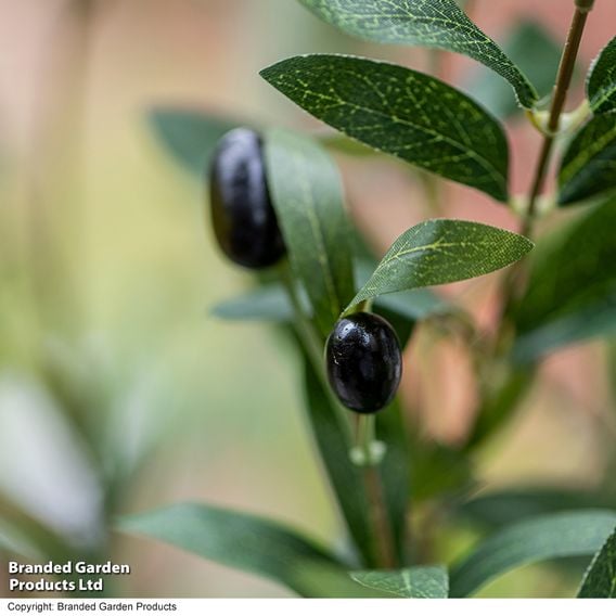 Artificial Olive Tree 