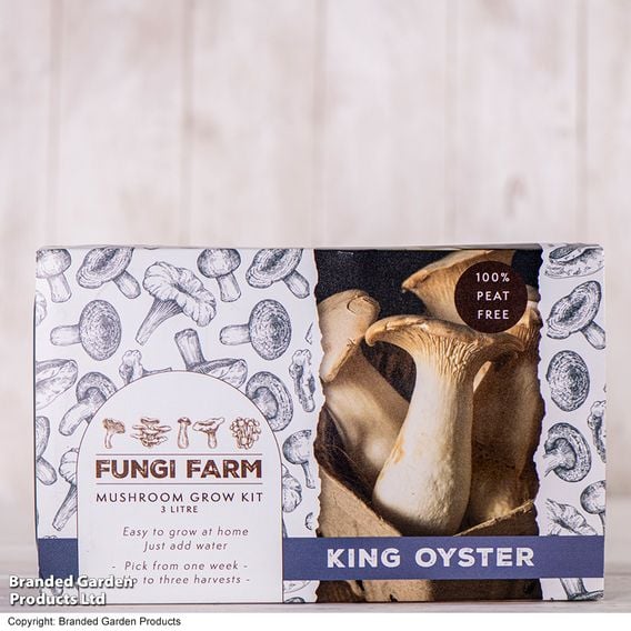 Fungi Farm Mushroom Windowsill Kit Gourmet Duo