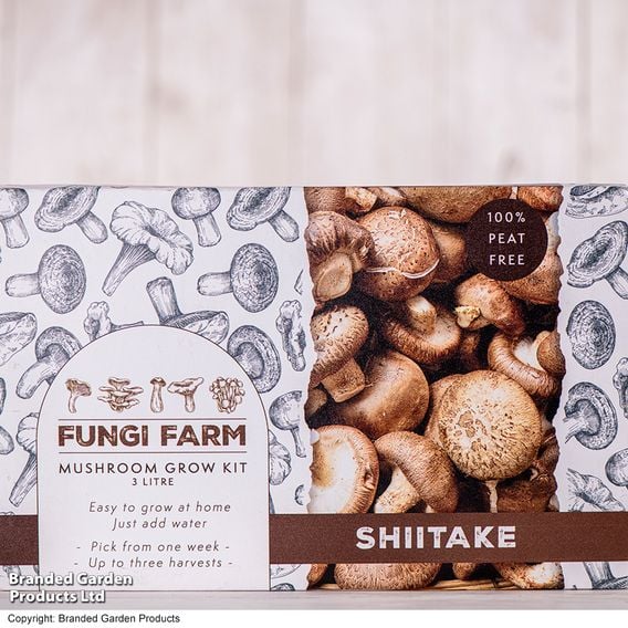 Fungi Farm Mushroom Windowsill Kit Gourmet Duo
